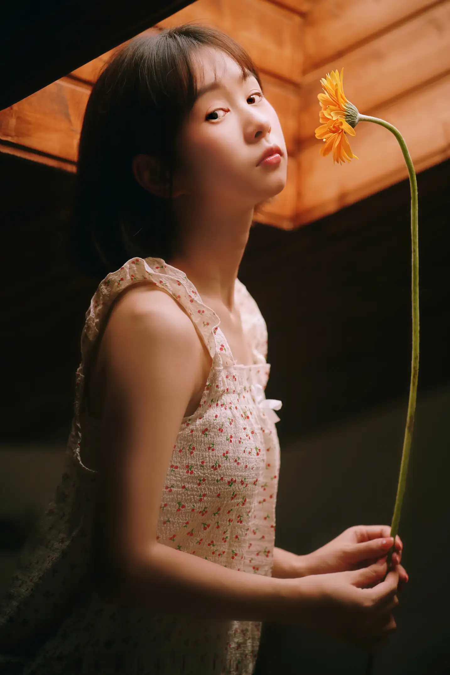 [艺图语] 2022.08.06 Vol.1636 – 疯狂的鱼缸是我的宇航服，我带上心爱的非洲菊去登月 小微#[29P]-9