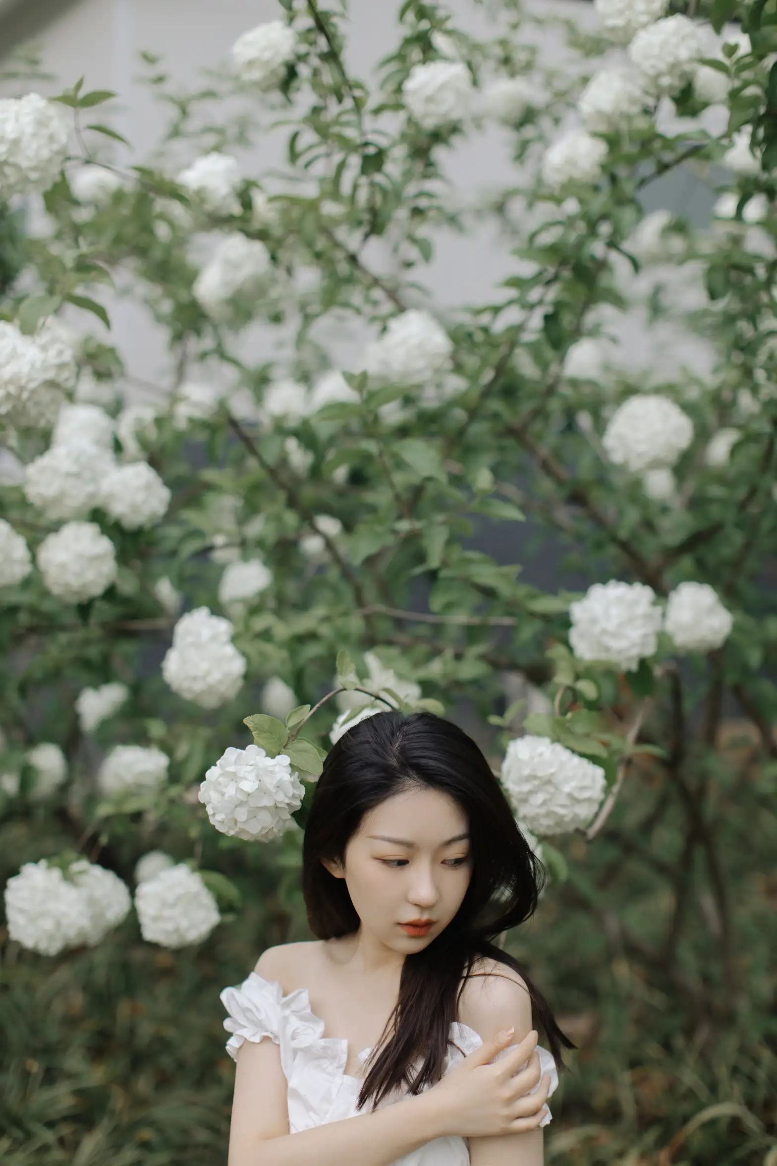 [艺图语] 2021.12.31 Vol.565 – 绣球花开 小tom#[22P]-22