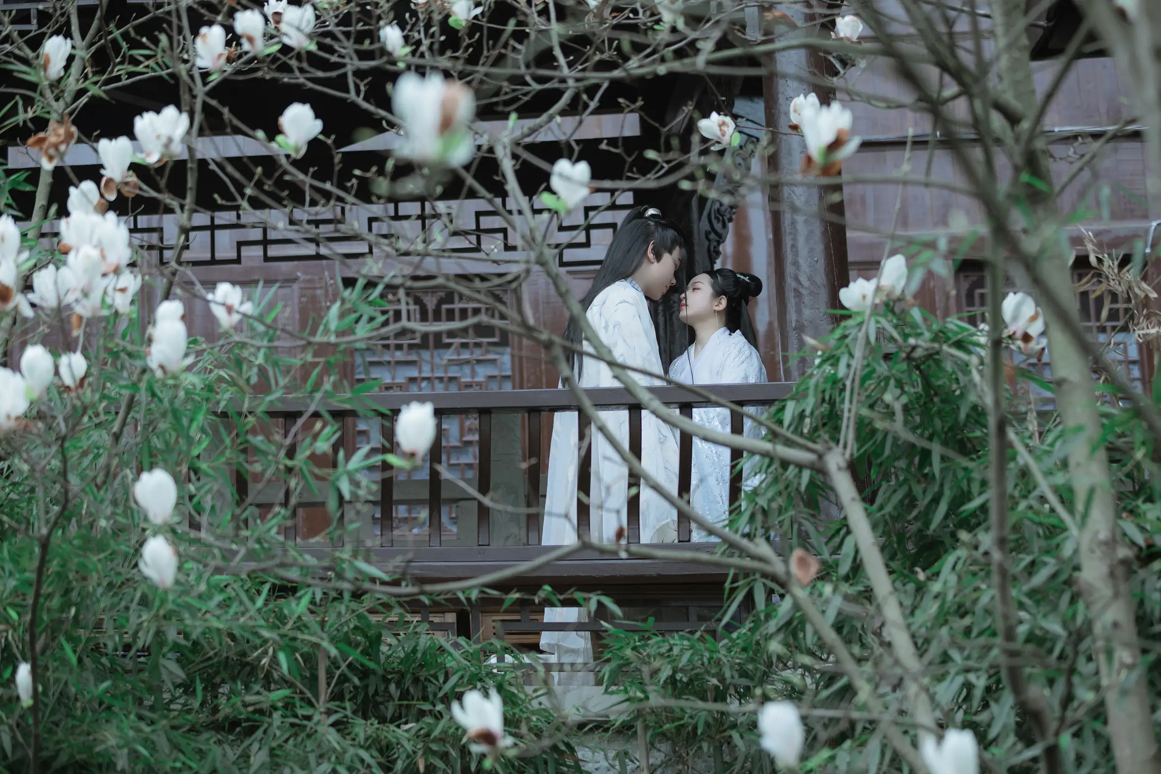 [艺图语] 2021.09.04 Vol.249 – 山有木兮 呼呼#[23P]-20