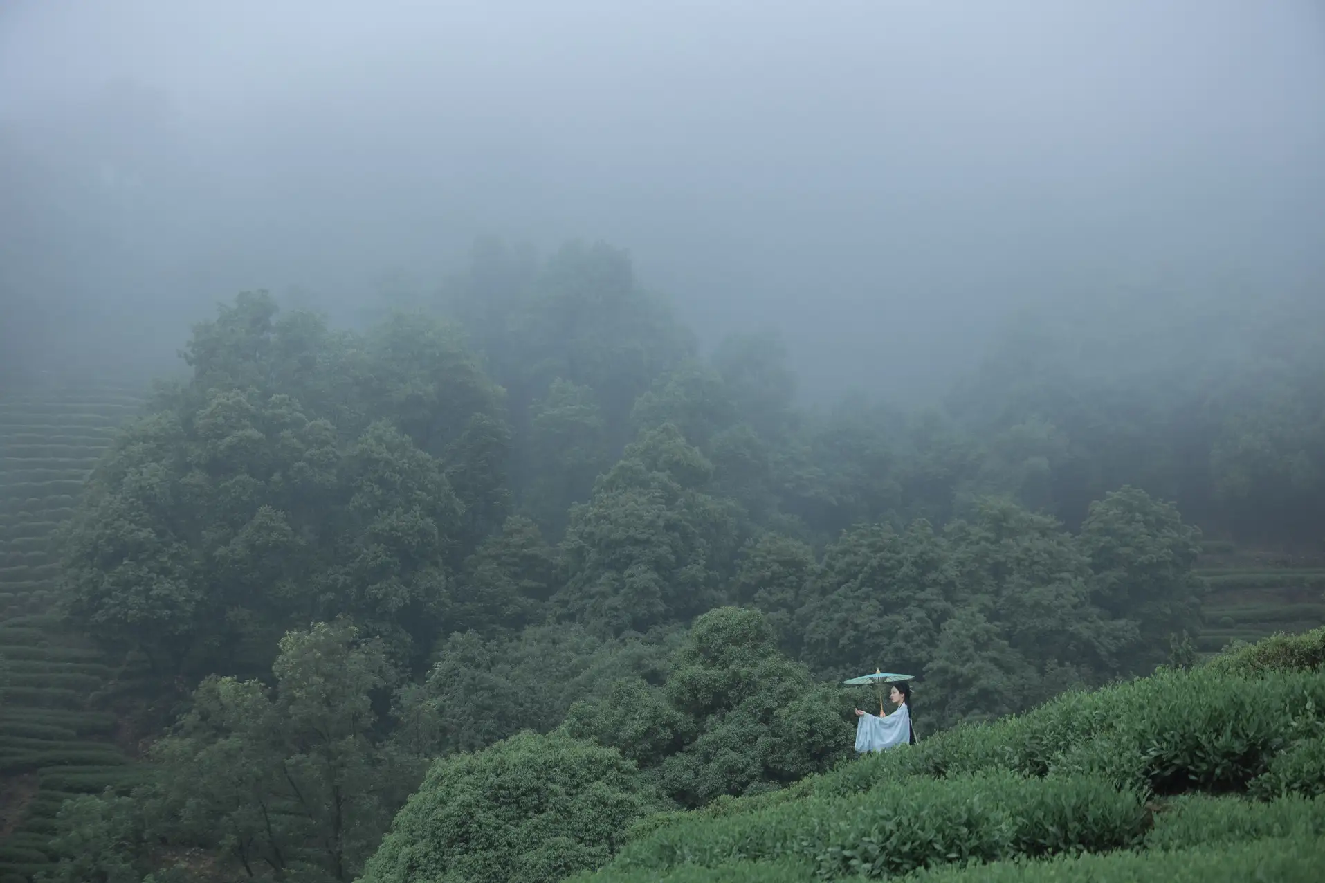 [艺图语] 2022.07.05 Vol.1384 – 空山新雨 沈云缭#[42P]-14