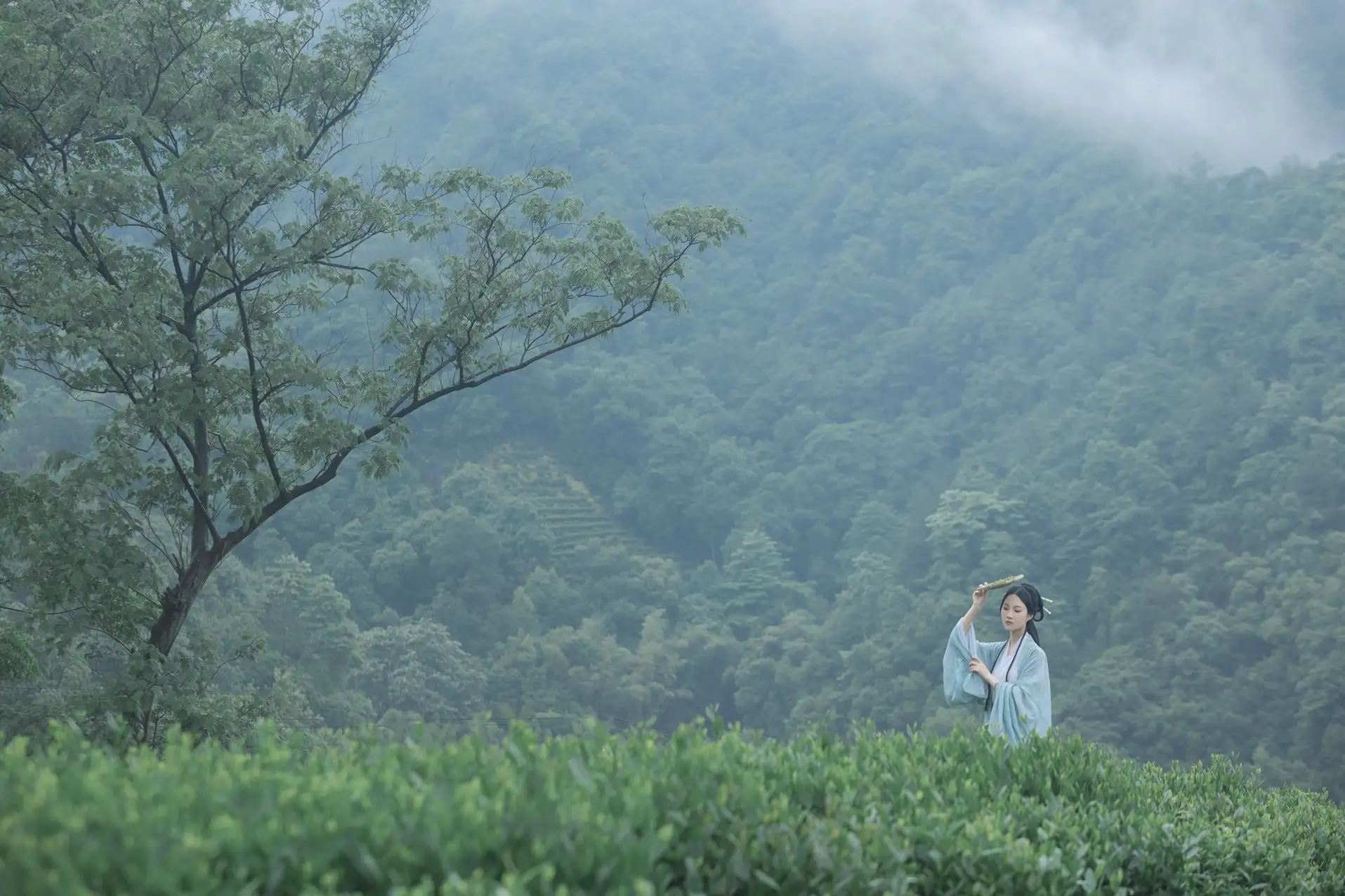 [艺图语] 2022.07.05 Vol.1384 – 空山新雨 沈云缭#[42P]-22