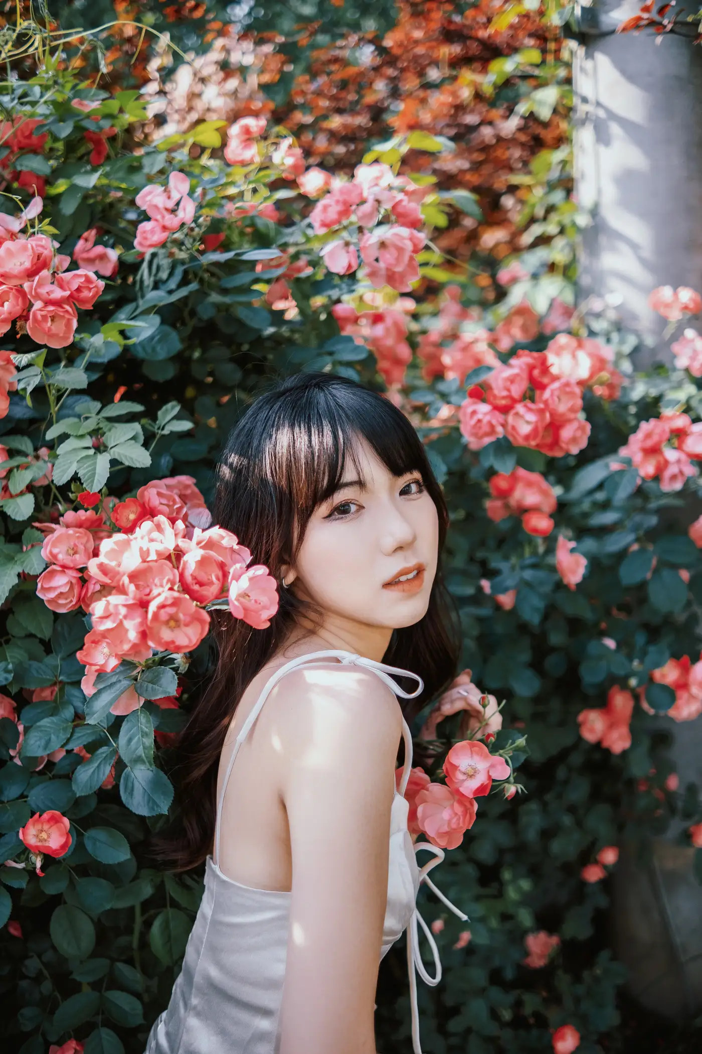 [艺图语] 2022.06.10 Vol.1137 – 蔷薇花下 依依#[25P]-4